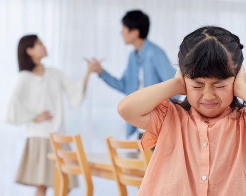 Family Dispute Solutions
